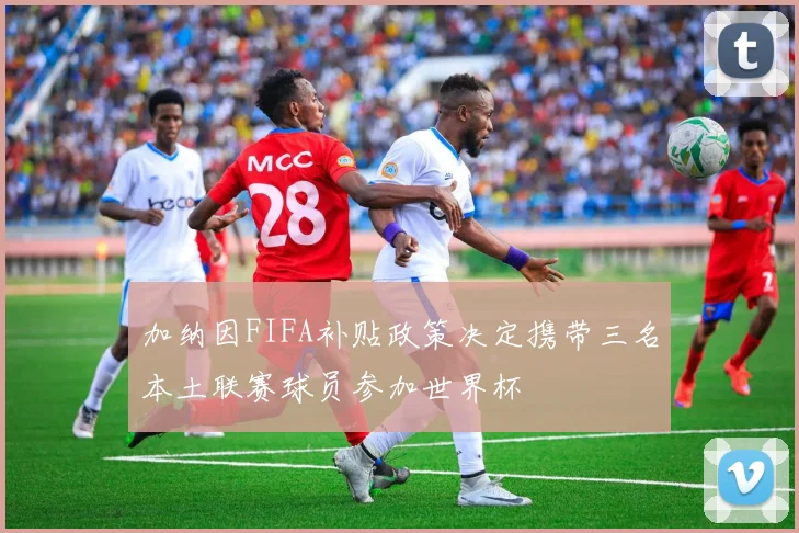 加纳因FIFA补贴政策决定携带三名本土联赛球员参加世界杯